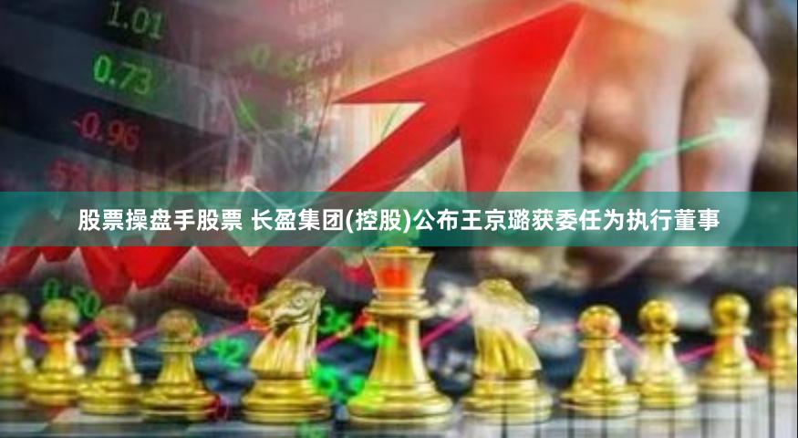 股票操盘手股票 长盈集团(控股)公布王京璐获委任为执行董事